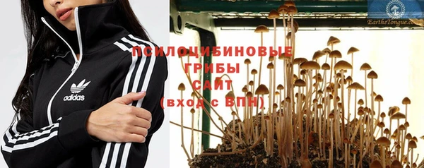 PSILOCYBIN Абдулино