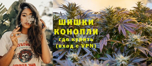 PSILOCYBIN Абдулино