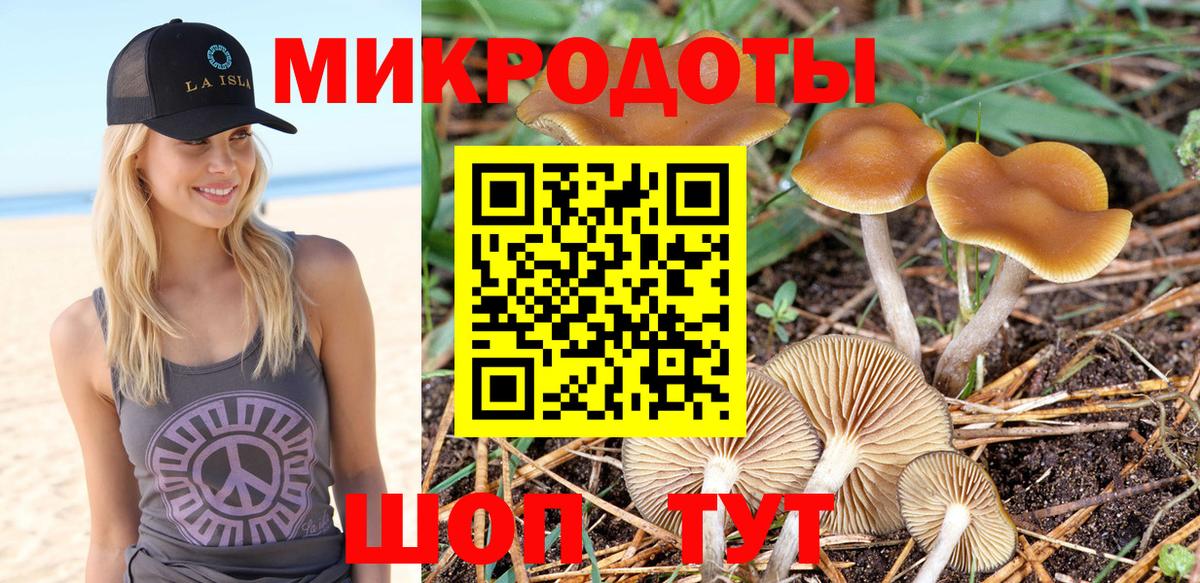 Галлюциногенные грибы Cubensis Норильск